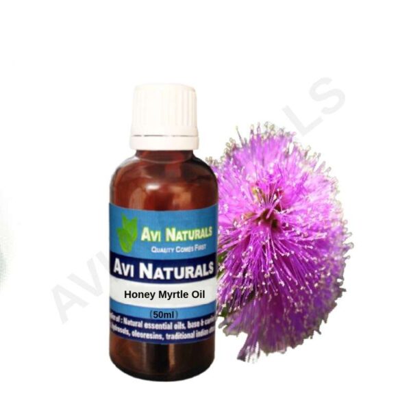 Honey myrtle oil