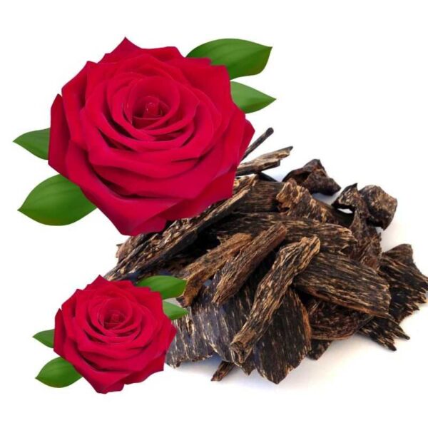 Buy rose oud fragrance oil