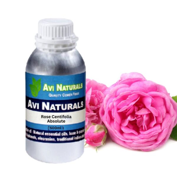 Rose centifolia absolute bulk