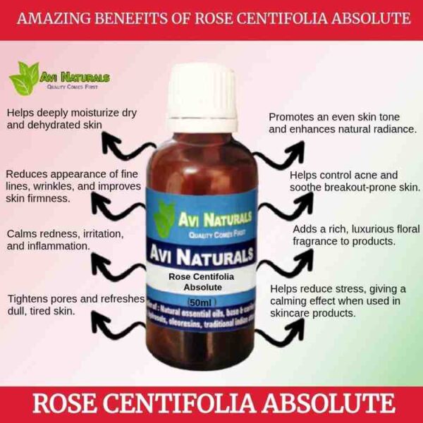 Uses benefits rose centifolia absolute