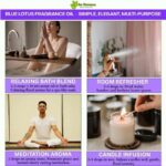 Blue lotus fragrance oil suppliers