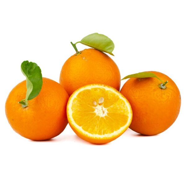 Buy orange 10 fold oil