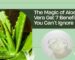 7 benefits of aloe vera gel