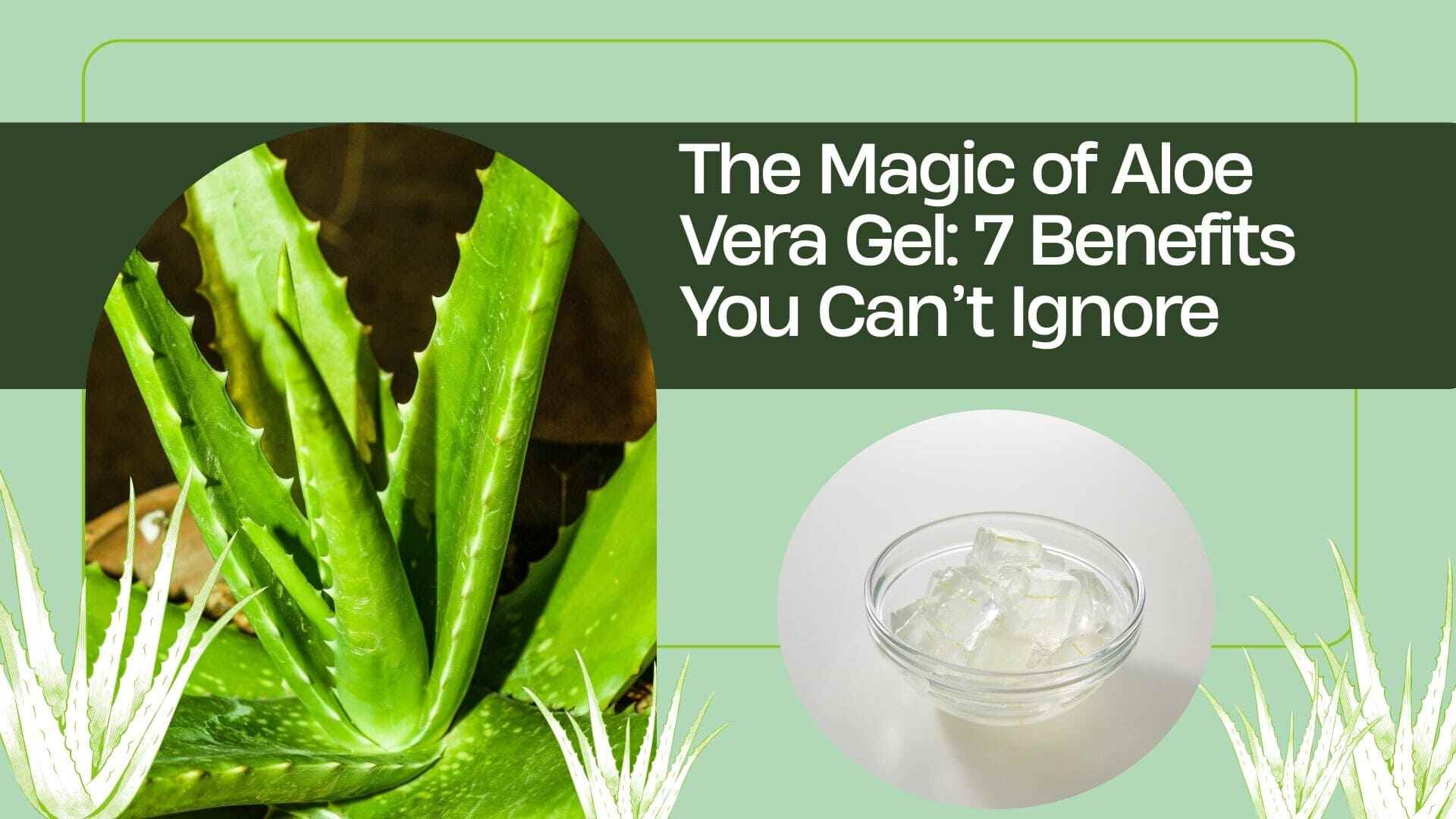 7 benefits of aloe vera gel