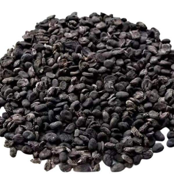 Buy babchi Infused oil