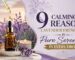 Lavender french oil serenity