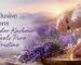Lavender kashmir oil feels pure