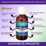 Uses benefits lavender oil maillette