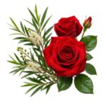 Buy tea rose fragrance oil