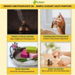 Uses benefits ginger lime fragrance oil
