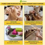 Uses benefits ylang ylang fragrance oil
